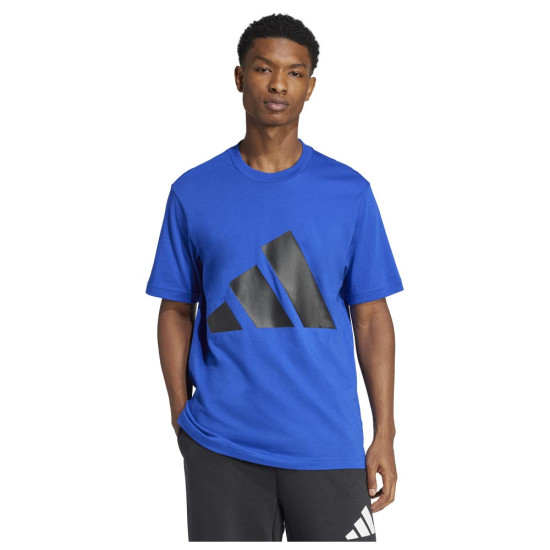 Adidas Ανδρική κοντομάνικη μπλούζα Big Logo Single Jersey Tee